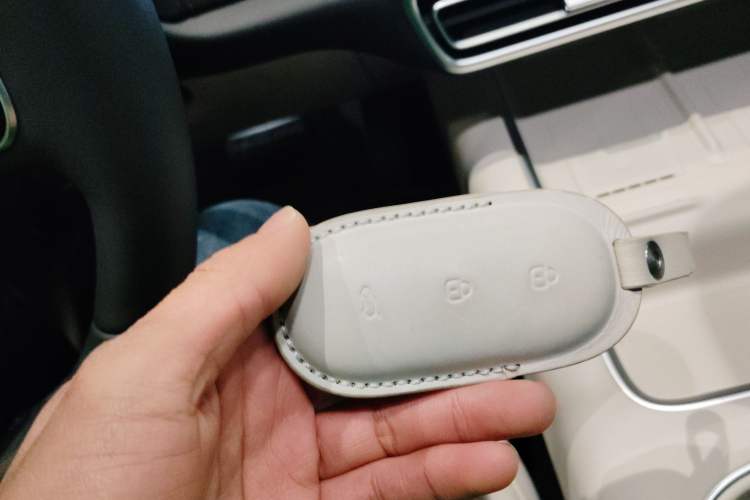 Used Li Auto L6 2024 Max
