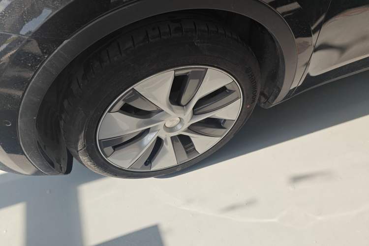 Used Tesla Model Y 2021 Standard Range Rear-Wheel Drive Version