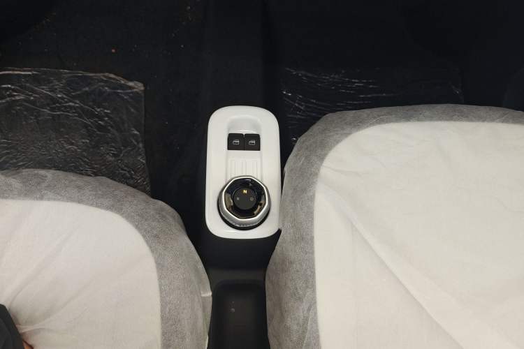 Used  Panda 2025 210 km – Yuanqi Bear