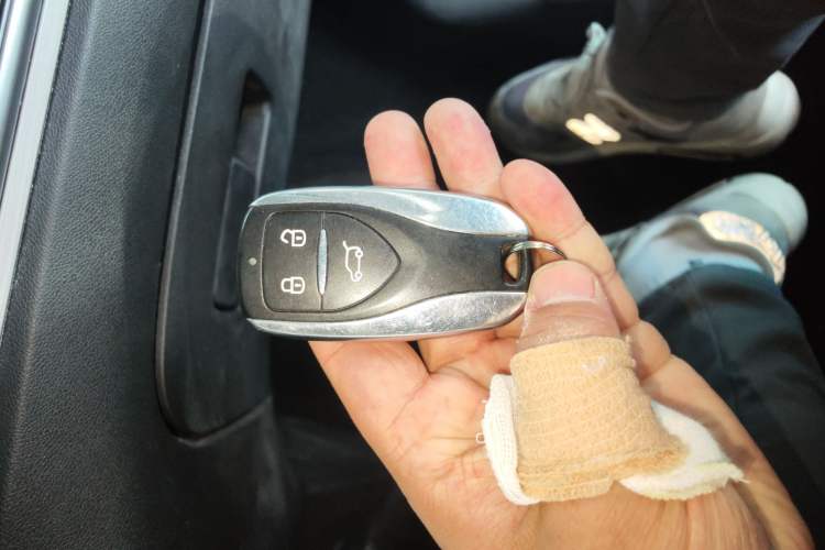 Used Dayun Yuehu 2022 30.66 kWh Two-Wheel Drive Standard Version
