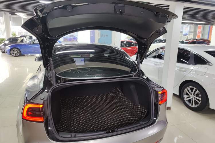 Used Tesla Model 3 2021 Standard Range Rear-Drive Upgraded Version