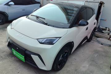 Used BYD Seagull 2024 Honor Edition 305km Freedom Version