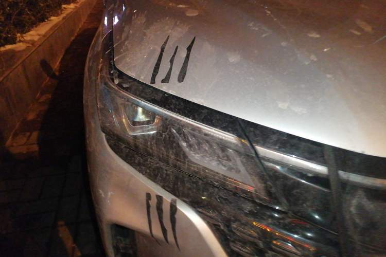 Used  E5 2024 Honor Edition 100KM Deluxe 7-Seater