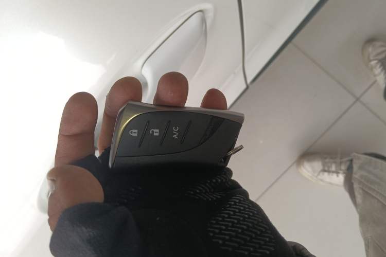 Used Lexus UX New Energy 2020 300e Pure·Joy Edition
