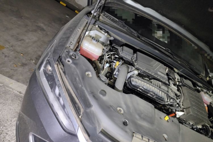 Used BYD Qin PLUS 2023 Champion Edition DM-i 55KM Leading Model
