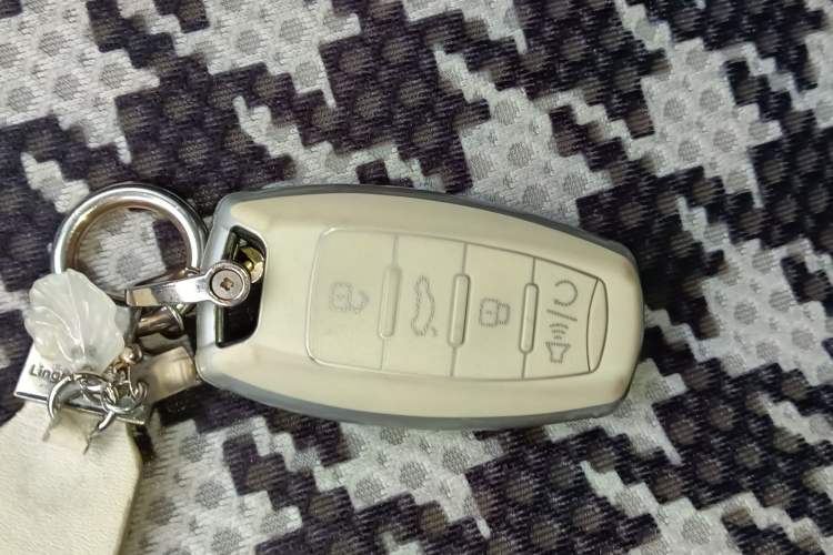 Used ORA Black Cat 2022 351 km Range Comfort Version Ternary Lithium
