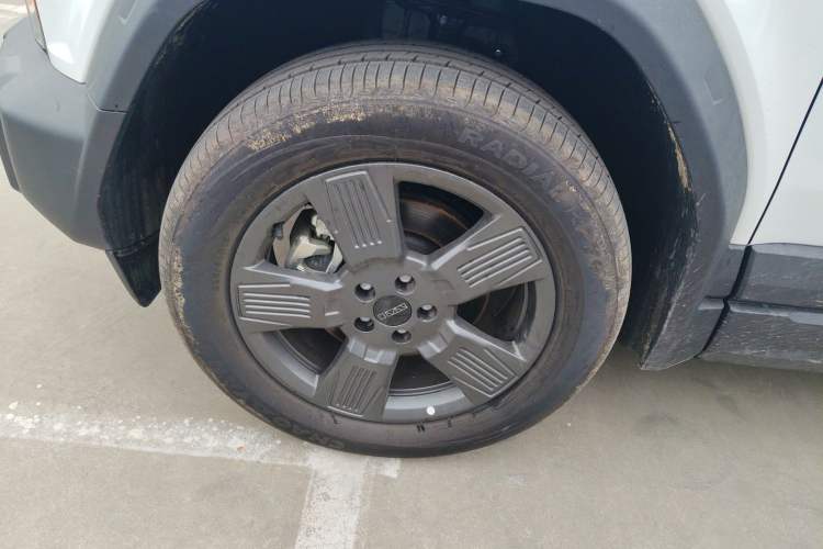 Used  03 2024 401km Two-Wheel Drive Standard Advanced Version