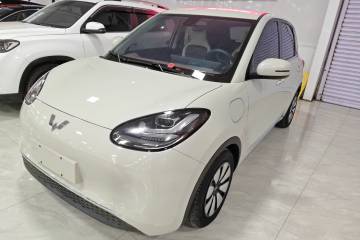 Used Wuling Bingo 2023 333 km Lingxi Connected+ Version