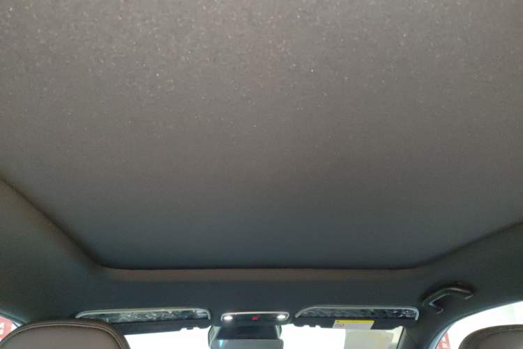 Used Livan Livan 7 2024 605 km Glory Edition