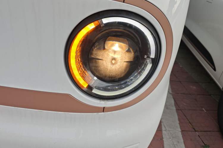 Used  Panda 2024 Panda Mini 200km Endurance Bear
