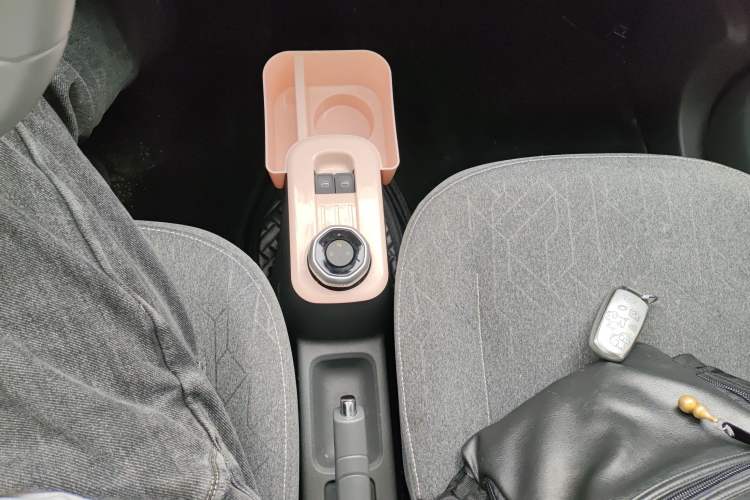 Used  Panda 2024 Panda Mini 200km Endurance Bear
