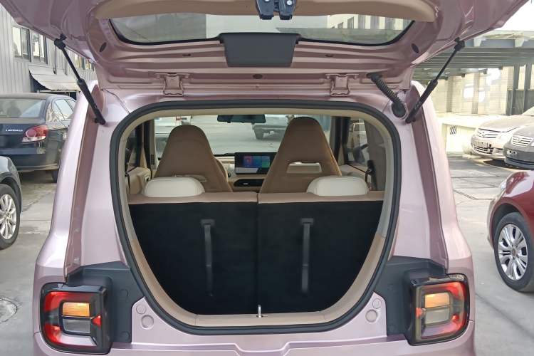 Used  Panda 2023 Panda Mini 200km Endurance Bear
