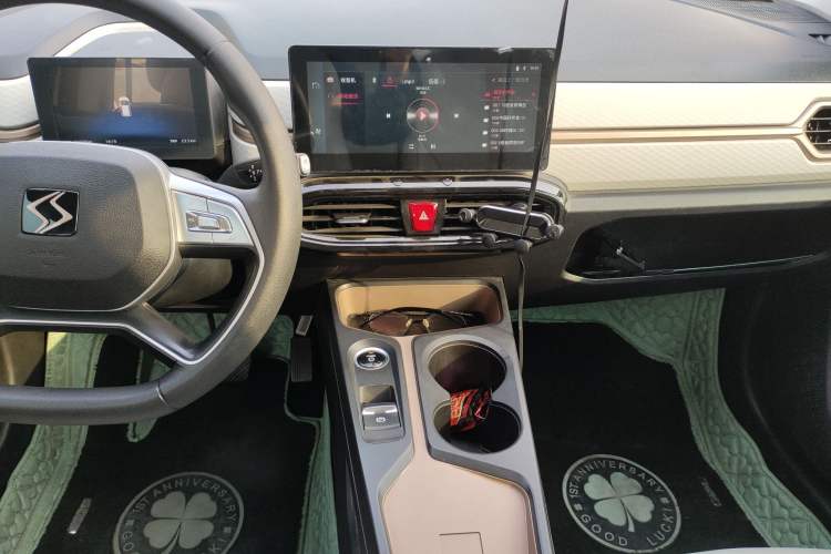 Used SOL E10X 2022 Flower Fairy Design Four-Leaf Clover
