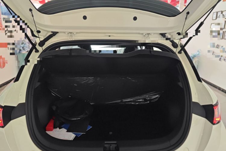 Used BYD Dolphin 2025 420km Free Edition
