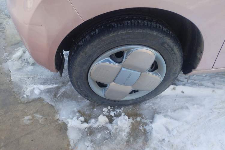 Used  Panda 2024 Panda Mini 200km Endurance Bear