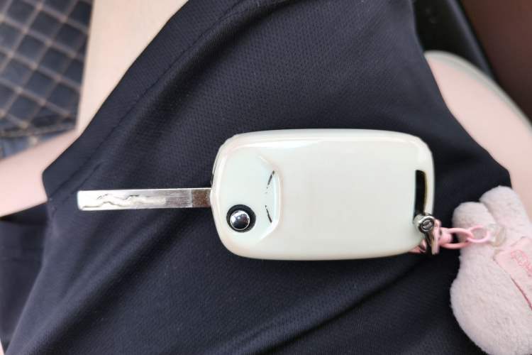 Used Wuling Bingo 2024 203km Light Edition