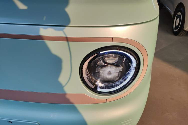 Used  Panda 2023 Panda Mini 200km Endurance Bear
