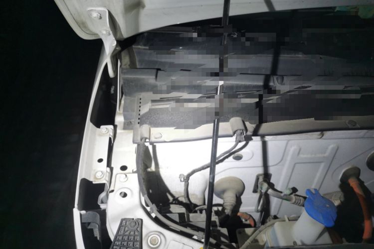 Used  Panda 2023 Panda Mini 200km Endurance Bear
