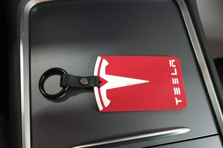 Used Tesla Model Y 2021 Standard Range Rear-Wheel Drive Version
