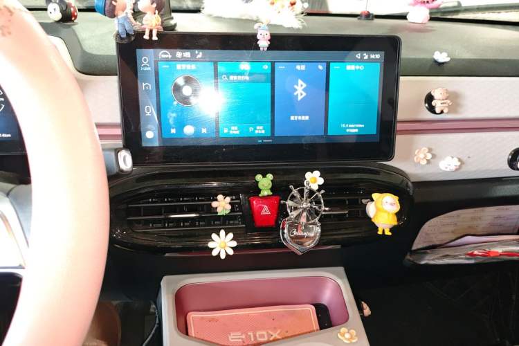 Used SOL E10X 2022 Flower Fairy Style Baby's Breath