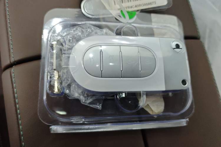 Used  #5 2024 Long-Range Journey Luxury Edition