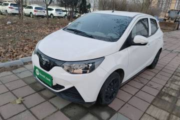 Used JMEV  2024 201km Comfort Version