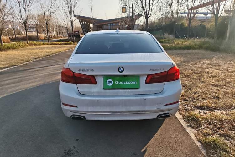 Used BMW 5 Series 2020 530Li Leading Edition Luxury Package