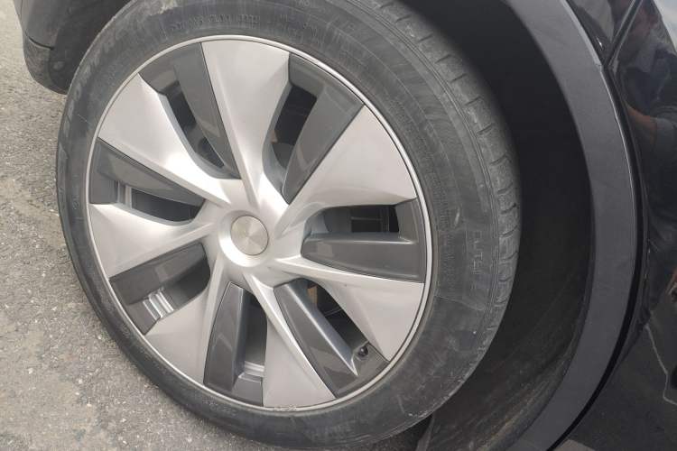 Used Tesla Model Y 2021 Standard Range Rear-Wheel Drive Version
