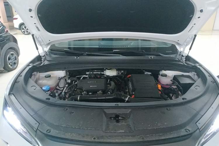 Used BYD Song L DM-i 2024 112 km Leading Edition
