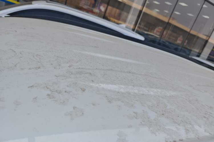 Used Toyota RAV4 2021 2.0L CVT Two-Wheel Drive Urban Edition
