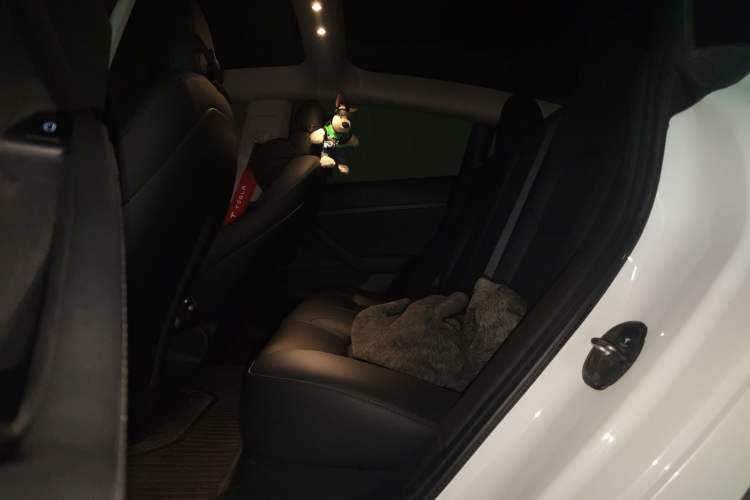 Used Tesla Model 3 2021 Standard Range Rear-Drive Upgraded Version