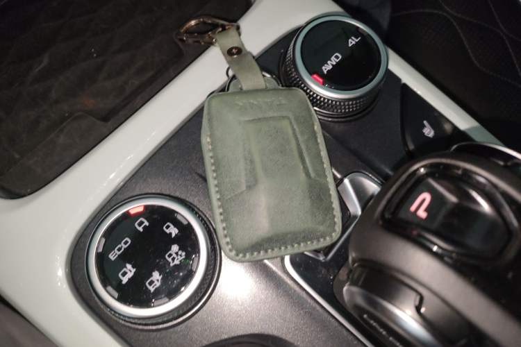 Used Tank 300 2023 City Edition 2.0T My Vision Model
