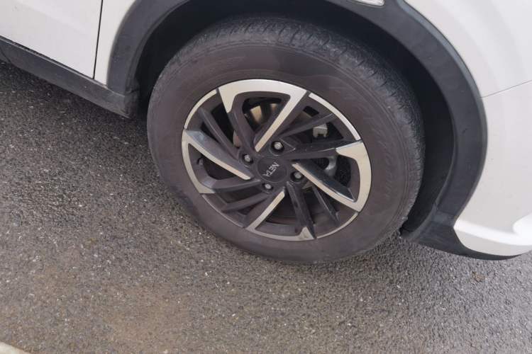 Used NETA V 2021 Long-Range Entertainment Edition Upgrade Model
