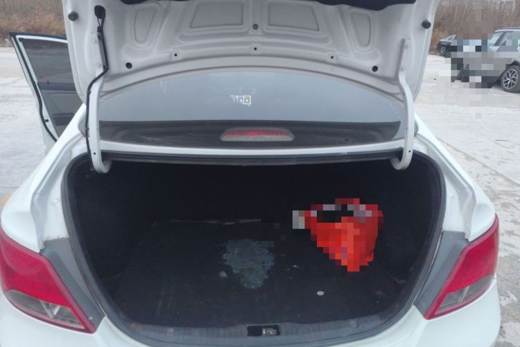 Used Hyundai Verna (older generation) 2016 1.4L Manual Smart GLS Trim