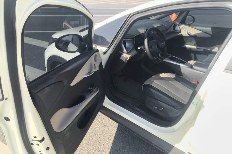 Used BYD Dolphin 2025 Smart Drive Version 420 km Freedom Edition
