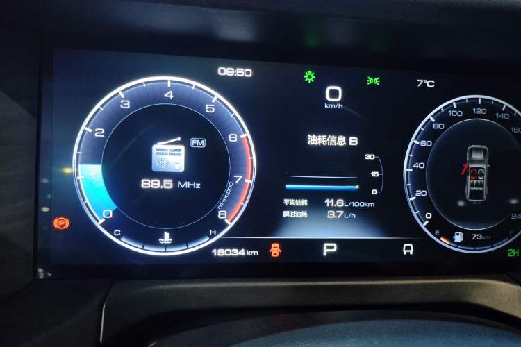 Used Tank 300 2024 2.0T Conqueror
