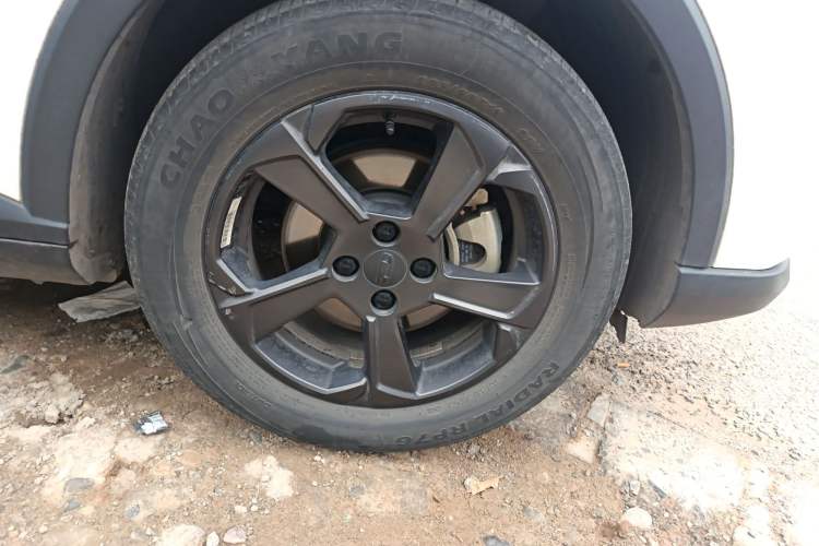 Used Geometry E Firefly 2022 320KM Cute Tiger 4-Seater
