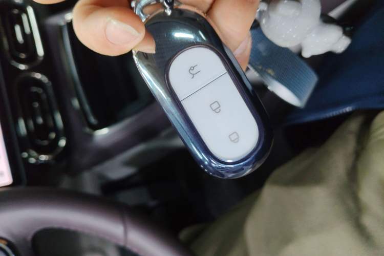 Used Leapmotor C11 2024 All-Electric 580 Luxury Edition
