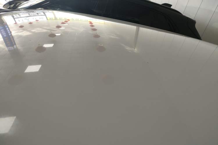 Used Honda Fit 2021 1.5L CVT Trend Edition