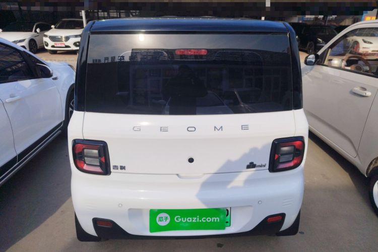 Used  Panda 2024 Panda Mini 200km Endurance Bear
