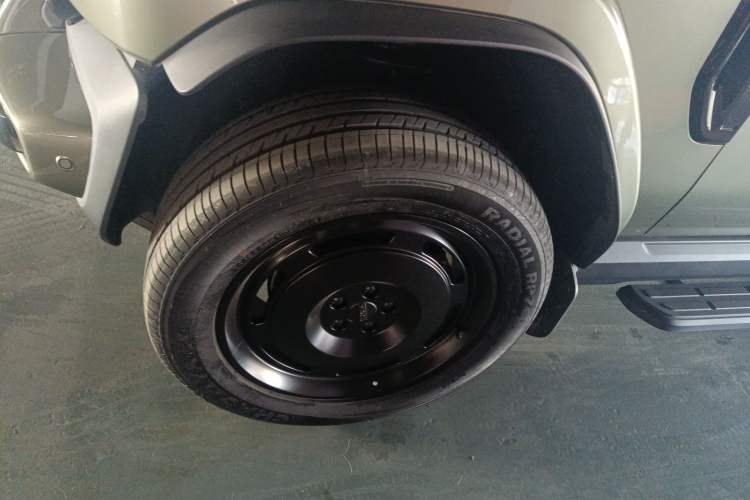 Used  V23 2025 401 Two-Wheel Drive Intelligent Driving Version