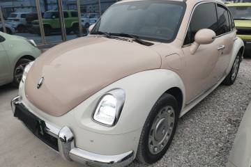 Used ORA Ballet Cat 2023 401 km Luxury Version