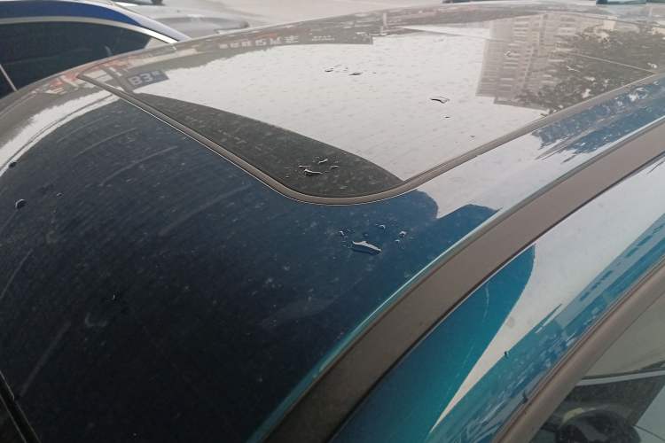 Used ORA Good Cat 2023 401 km Standard Range Premium Version Lithium Iron Phosphate