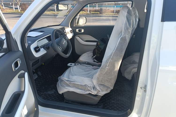 Used  Panda 2025 210 km – Yuanqi Bear