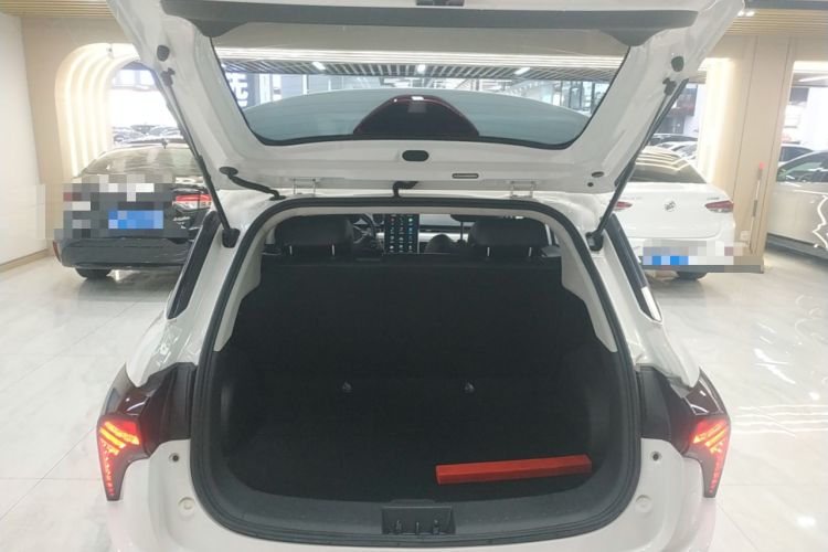 Used NETA V 2021 Long-Range Entertainment Edition Upgrade Model