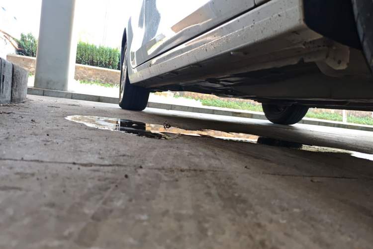 Used Chevrolet Cavalier 2019 320 Automatic Enjoyment with Sunroof
