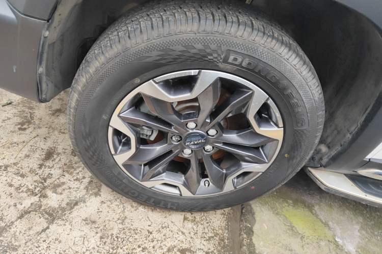 Used Haval DARGO 2021 2.0T DCT 4x4 Chinese Rural Dog Edition
