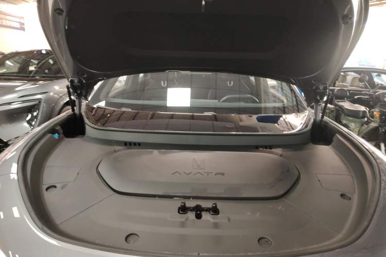 Used  07 2024 Max Extended-Range Edition
