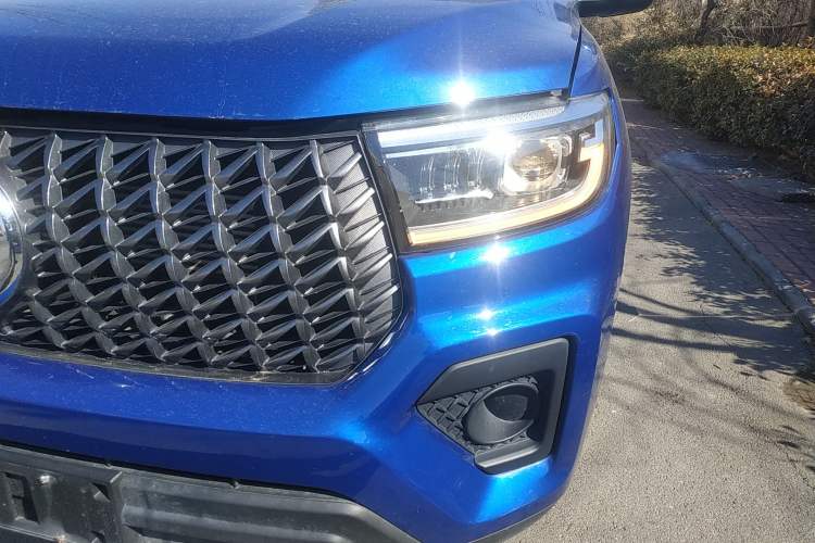 Used Great Wall Poer 2023 2.0T Commercial Version Manual Diesel Two-Wheel Drive Elite Trim Standard Box GW4D20M
