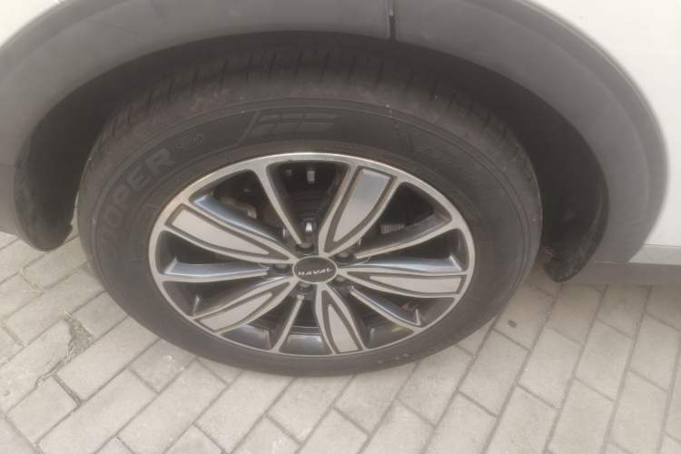 Used Haval H6 2021 1.5T Automatic Champion Edition